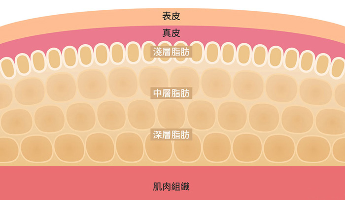 減脂