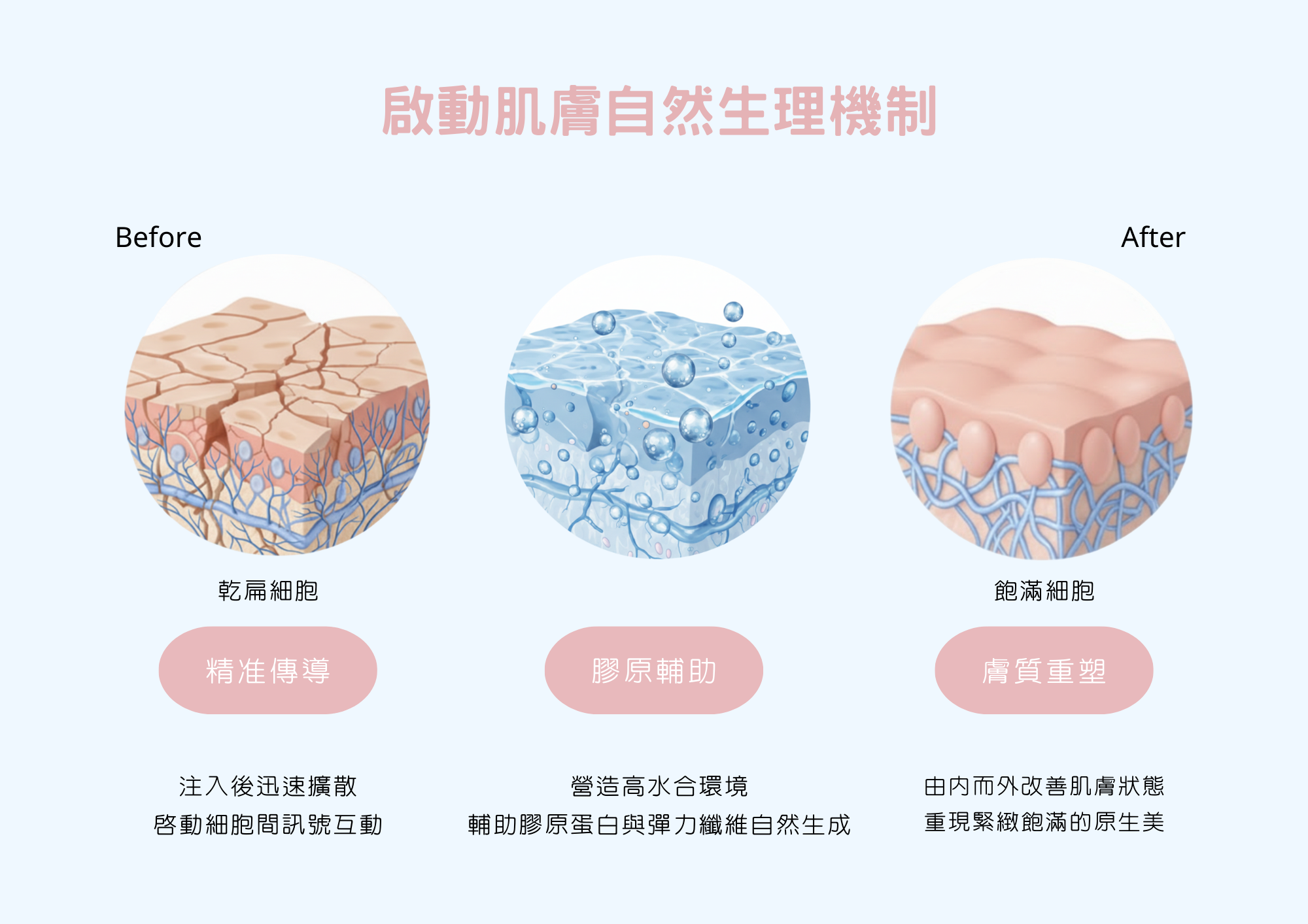 網頁素材_作用原理 1_彈力針一頁式網頁.png